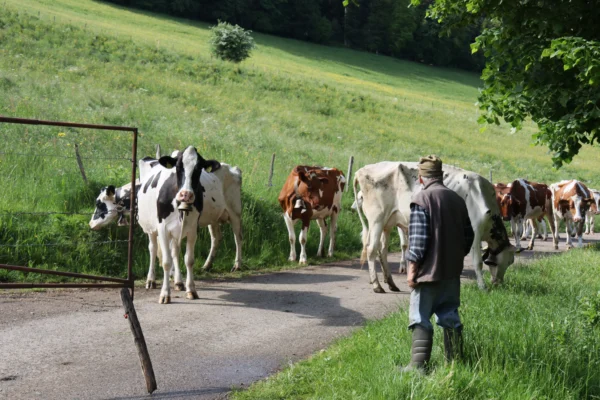 LANDLEBEN